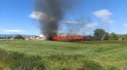 Un incendi afecta un camp de canyes i un taller mecànic a Vilatenim