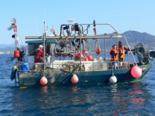 Pesca Turisme de Roses vol ampliar el seu projecte creant el centre d'interpretació del món pesquer