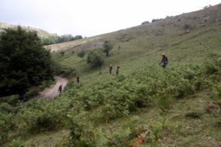 Recuperen les pastures en uns terrenys del Montseny de més de 24 hectàrees