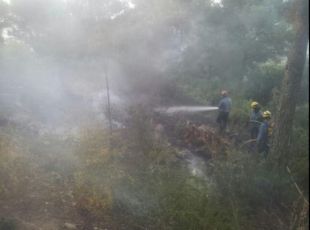 Un petit incendi crema una zona boscosa de la platja d'Aiguablava a Begur