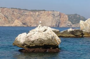 Quatre denúncies per pescar i ancorar en zones prohibides de les Illes Medes i Begur