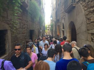 Unes 244.200 persones van visitar Girona durant el 'Temps de Flors'