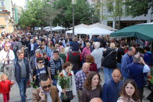 Els llibreters gironins van vendre el 65% d'exemplars en català per Sant Jordi