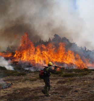 Catalunya inicia el període de prohibició per fer foc al bosc fins el 15 d’octubre