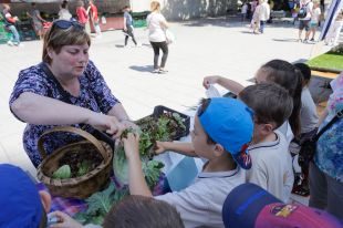 Uns 450 infants de Girona venen avui els productes dels horts escolars al Mercat del Lleó
