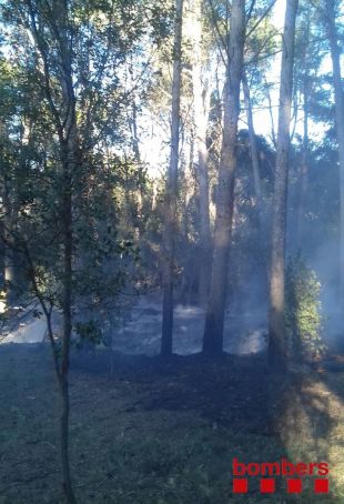 Un incendi crema 1.000 metres quadrats de vegetació a la Bisbal