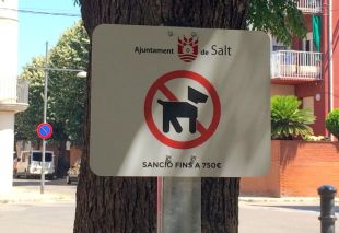 Salt prohibirà els gossos a tretze espais municipals per garantir-ne la salubritat