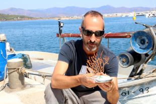 Pescadors i científics replanten gorgònies per a recuperar el fons marí del Cap de Creus