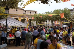 Centenars de persones celebren la 'Diada Groga' a Santa Coloma de Farners