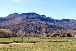 Els pagesos de la Vall d'en Bas creuen que cal reenfocar les explotacions per garantir-ne la supervivència