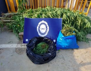 Quatre detinguts per tràfic de drogues a la Bisbal d'Empordà