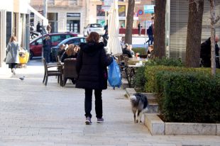 Una entitat animalista de l'Alt Empordà s'ofereix a passejar els gossos durant el confinament