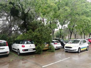 El temporal arrenca dos arbres del parc de Fora Muralla de Girona