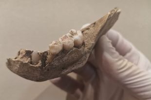 Troben restes d'una dotzena d'infants de fa uns 3.000 anys en un jaciment a Queralbs