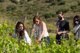 El Vívid clou amb més d’un miler de participants i una ocupació del 85%