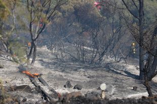 L'incendi de Llançà ja ha cremat unes 100 hectàrees i en podria calcinar unes 2.000 en total