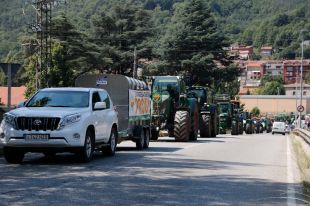 Tractorada a Ripoll per la multa de 5.500 euros a un ramader per la mort de 25 gripaus