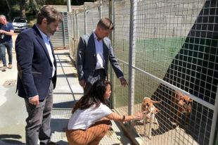 El Consell Comarcal de la Selva inverteix 140.000 euros en millorar el centre d'acollida d'animals