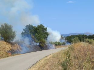 Fins a deu dotacions de Bombers treballen en un incendi agrícola a Masarac
