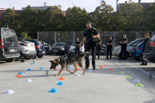 La comissaria de la Policia Local de Salt acull una jornada de formació per a unitats canines