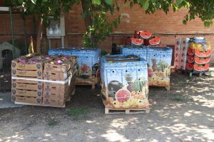 Detecten a Roses una furgoneta carregada amb 2.500 quilos de fruita i verdura il·legal 
