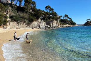L'Alt Empordà és la comarca de Catalunya amb més platges per a gossos