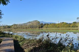 Liciten per 1,3 MEUR la restauració de l'estany de Sils per millorar-ne la recaptació d'aigua