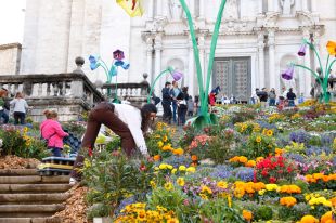 Girona ultima els detalls d'un Temps de flors adaptat a la sequera
