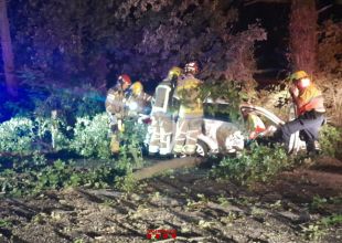 La caiguda d'un arbre a l'N-II a Maçanet provoca un accident múltiple