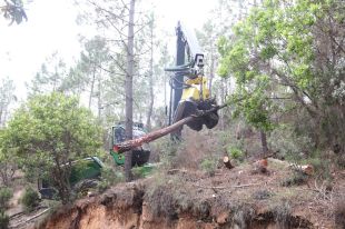 Les empreses de gestió forestal aposten per la mecanització per guanyar viabilitat econòmica