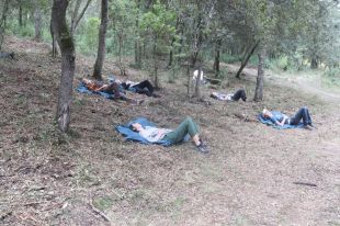 Temporada Alta programa una experiència immersiva en la natura amb 'Paisatges compartits'