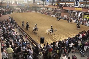 L'Equus rep uns 40.000 visitants i es consolida com fira de referència del cavall a Catalunya