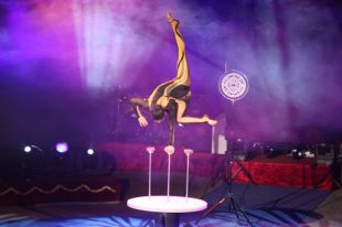 Salts acrobàtics, contorsió i perxa aèria, inauguren el Festival de Circ de Figueres