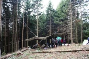 Els mossos desallotgen els anti-MAT que vivien penjats als arbres d'un bosc de Sant Hilari Sacalm