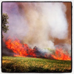 El foc de Madremanya no ha estat intencionat i ha cremat 150 hectàrees segons Interior