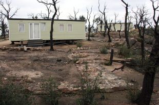 Ferides obertes mig any després del gran incendi de l'Empordà