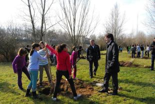 Més de 170 escolars de Girona planten arbres al parc de les Ribes del Ter