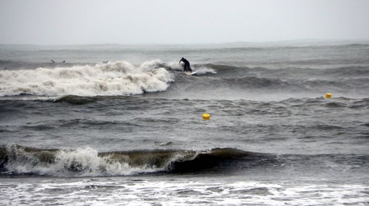 Una persona fent surf davant la costa de l'Escala. ACN
