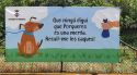 Porqueres ofereix 50 euros de descompte per a esterilitzar les mascotes