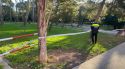 Figueres tanca el Parc Bosc i suspèn les activitats a l'aire lliure pel fort vent