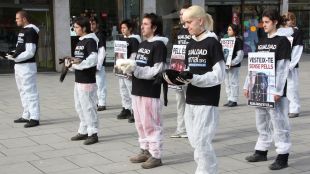 activistes, pells, girona