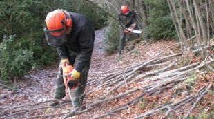 brigada, consorci, espais naturals, ripollès