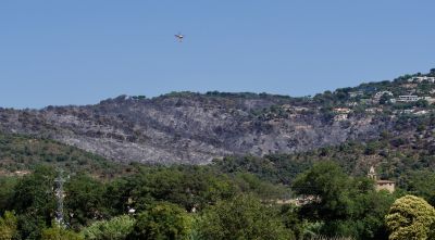 Natura Sterna demana modificar el calendari de treballs forestals fruit de l'incendi a Castell d'Aro