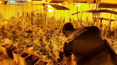 Troben 1.216 plantes de marihuana en dues cases de Riudarenes i Maçanet de la Selva