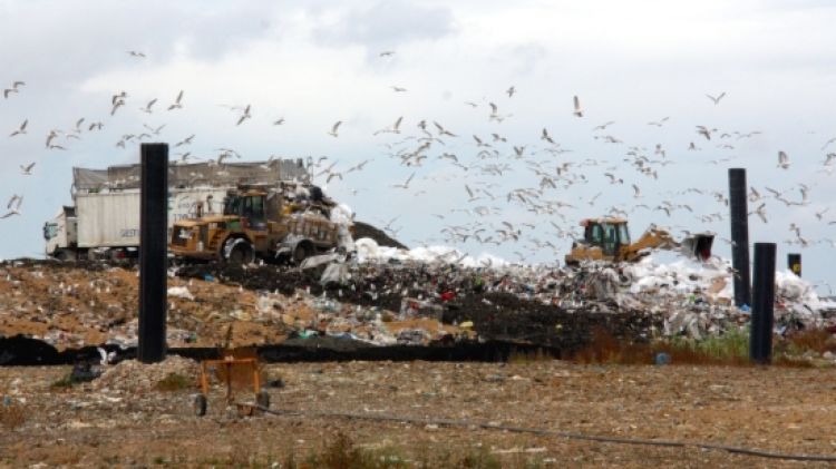 Excavadores removent les tones de residus que contínuament hi abocaven els camions (arxiu) © ACN