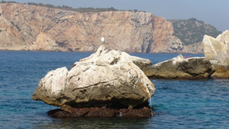 L'arxipèlag de les illes Medes és un ecosistema ric en fauna i flora © ACN