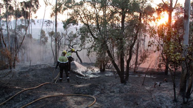 Efectius remullant la zona del flanc dret de l'incendi de Blanes © ACN