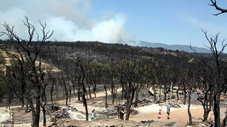 Camping de Capmany després del gran incendi del 2012 © ACN