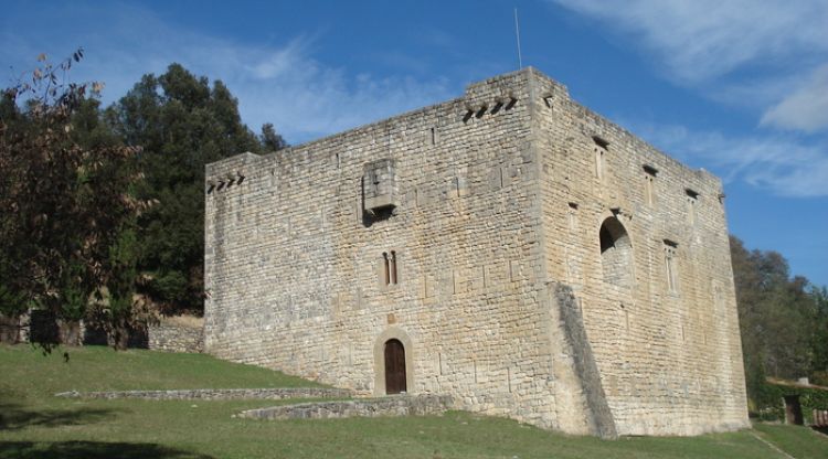 Castell d'Oix. Wikipedia