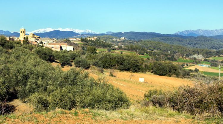 La zona per on travessarà la línia elèctrica amb el nucli de Lladó de fons